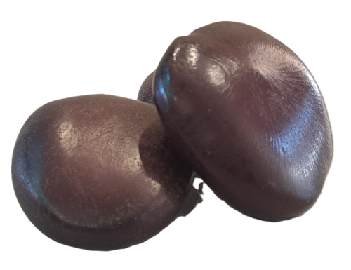 Dream Bean Whole